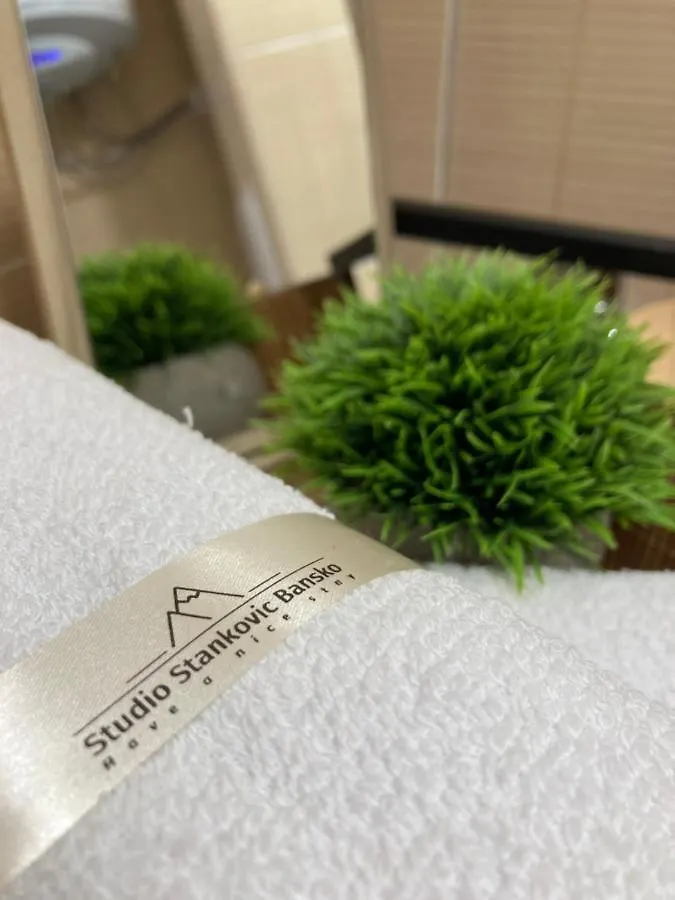 Studio Stankovic Royal Towers 326 Bansko